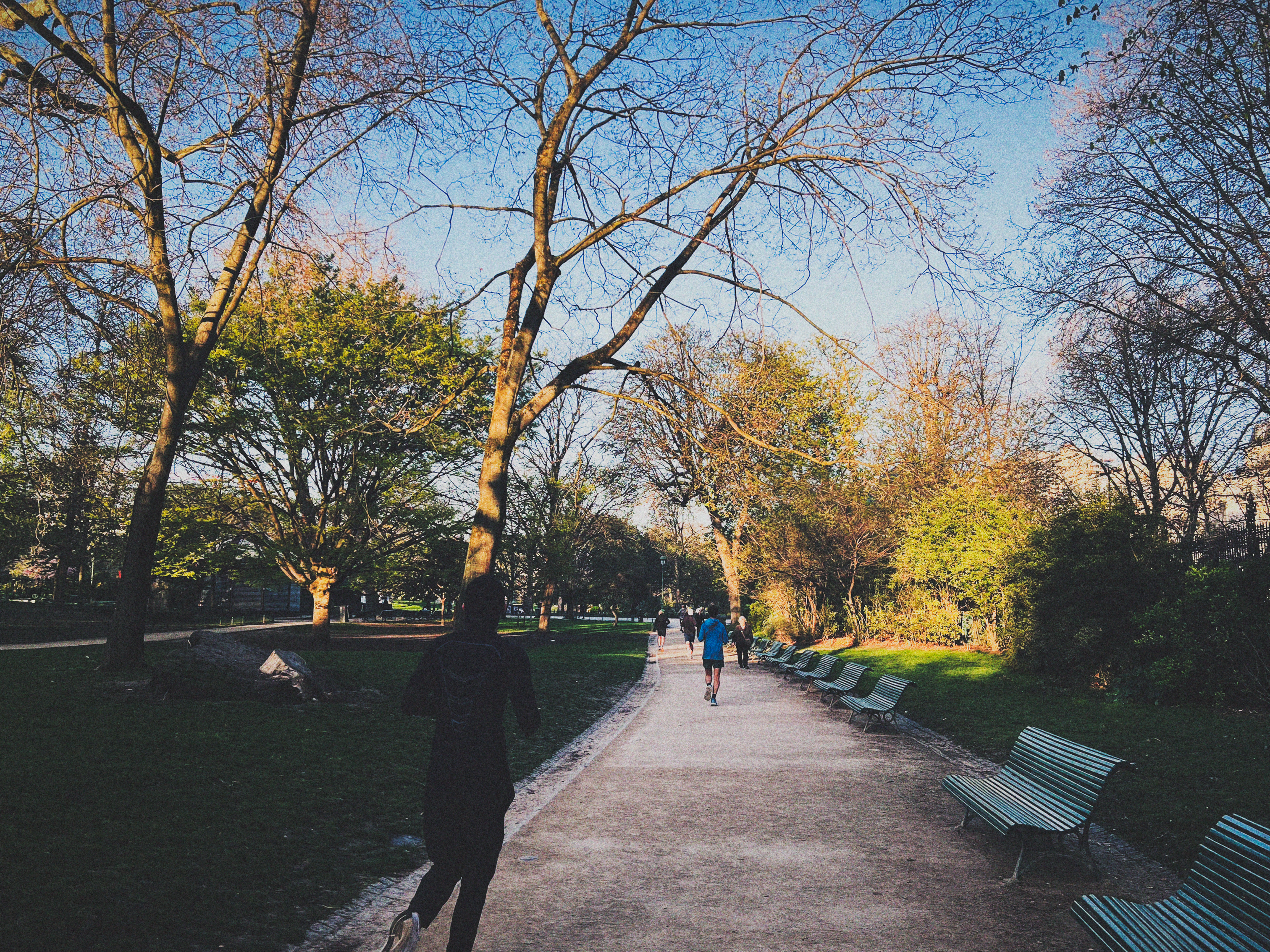 The Quiet Comradery of Morning Runs